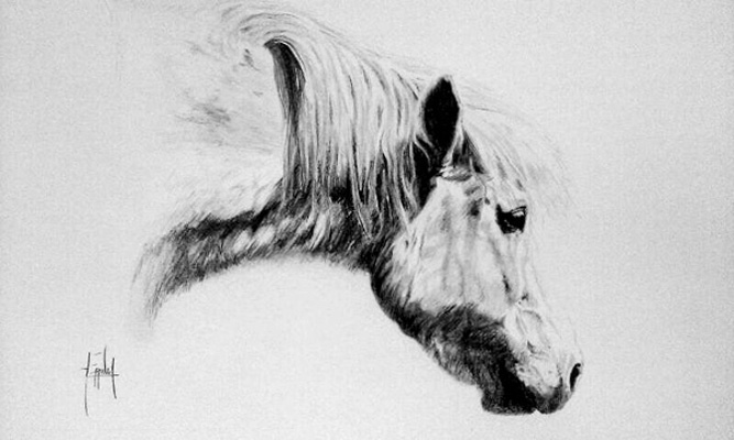 Drawing 14