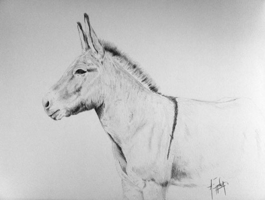 Drawing 15